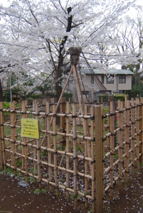 13032-05.jpg