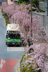 1303-10T.jpg